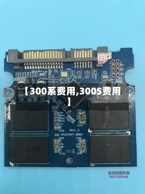 【300系费用,300S费用】