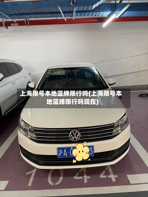 上海限号本地蓝牌限行吗(上海限号本地蓝牌限行吗现在)-第2张图片