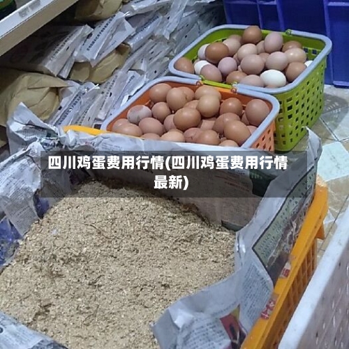 四川鸡蛋费用行情(四川鸡蛋费用行情最新)-第2张图片