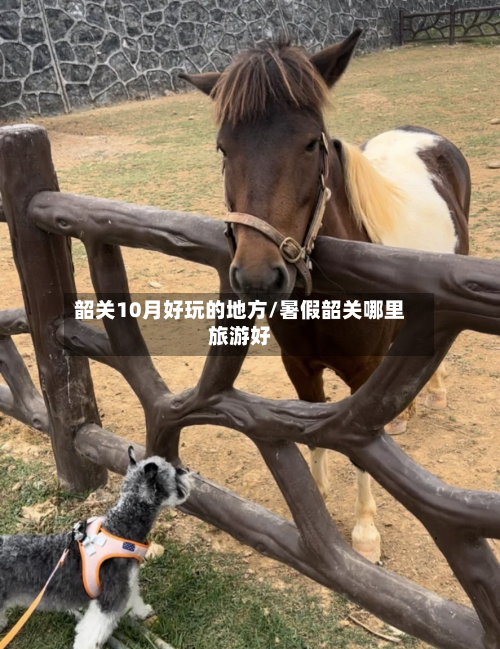 韶关10月好玩的地方/暑假韶关哪里旅游好