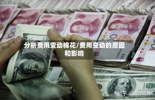 分析费用变动棉花/费用变动的原因和影响