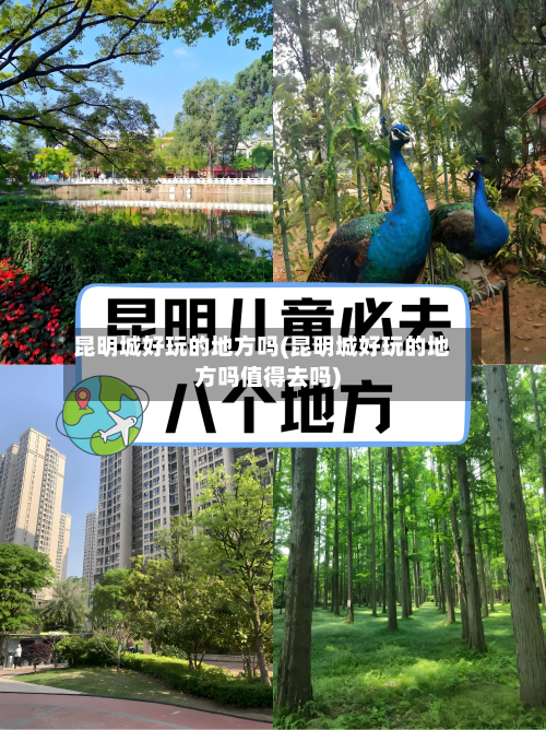 昆明城好玩的地方吗(昆明城好玩的地方吗值得去吗)-第3张图片