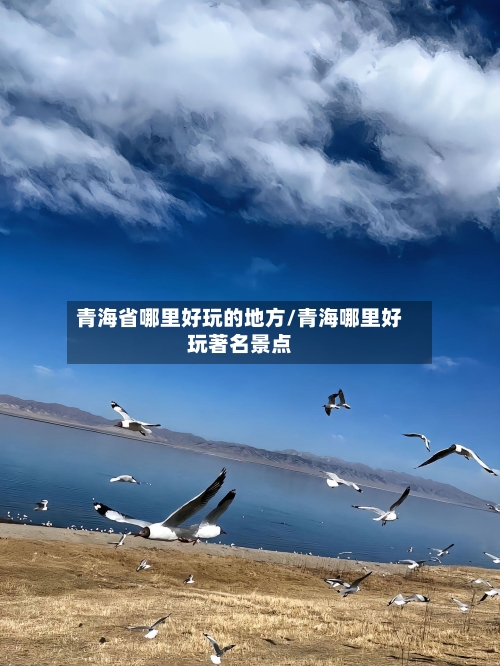 青海省哪里好玩的地方/青海哪里好玩著名景点