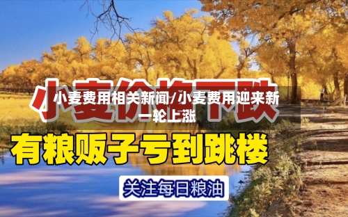小麦费用相关新闻/小麦费用迎来新一轮上涨-第2张图片