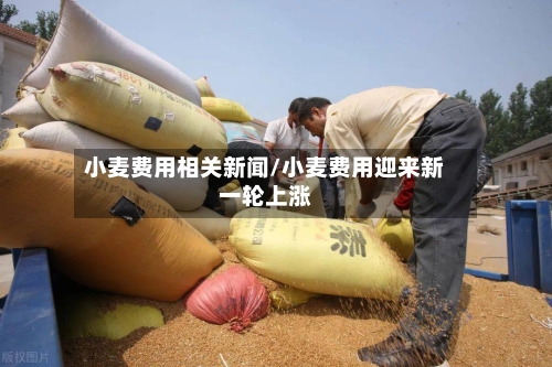 小麦费用相关新闻/小麦费用迎来新一轮上涨