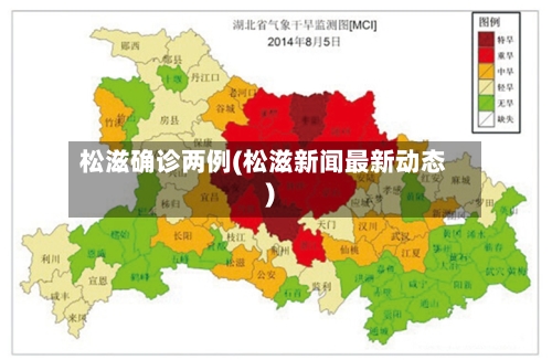 松滋确诊两例(松滋新闻最新动态)-第2张图片
