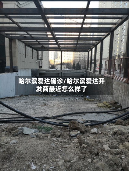 哈尔滨爱达确诊/哈尔滨爱达开发商最近怎么样了-第2张图片