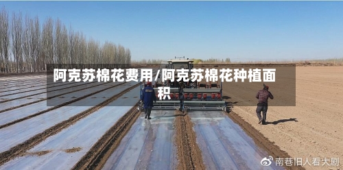 阿克苏棉花费用/阿克苏棉花种植面积-第2张图片