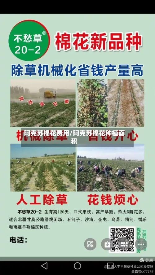 阿克苏棉花费用/阿克苏棉花种植面积