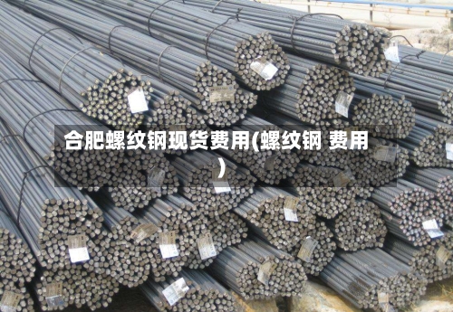 合肥螺纹钢现货费用(螺纹钢 费用)-第3张图片