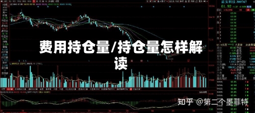 费用持仓量/持仓量怎样解读