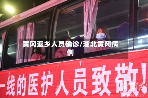 黄冈返乡人员确诊/湖北黄冈病例