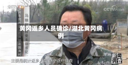 黄冈返乡人员确诊/湖北黄冈病例-第2张图片