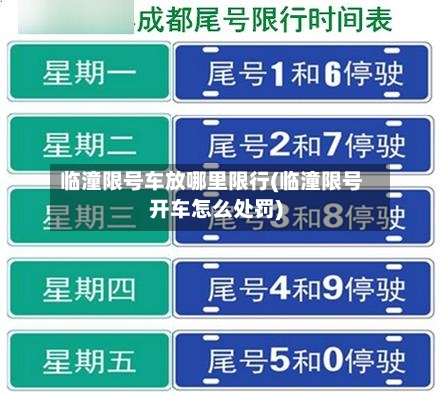 临潼限号车放哪里限行(临潼限号开车怎么处罚)
