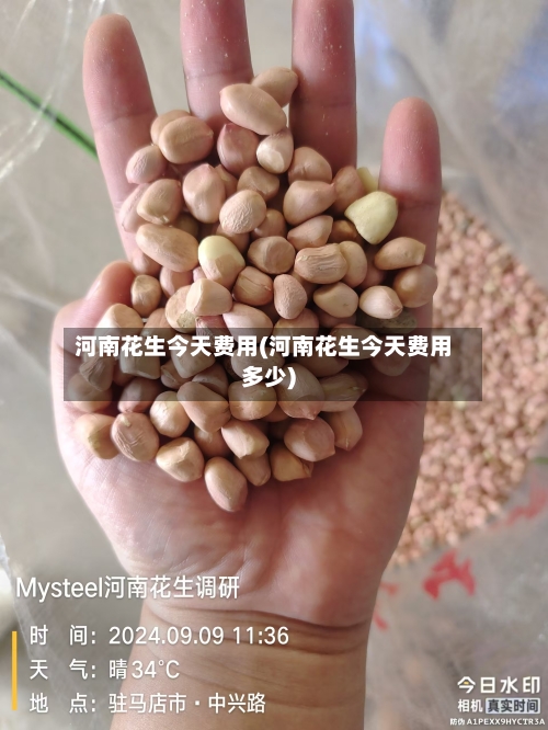 河南花生今天费用(河南花生今天费用多少)