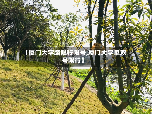 【厦门大学路限行限号,厦门大学单双号限行】-第2张图片