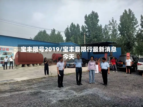 宝丰限号2019/宝丰县限行最新消息今天-第2张图片