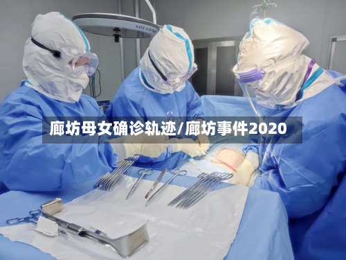 廊坊母女确诊轨迹/廊坊事件2020-第2张图片