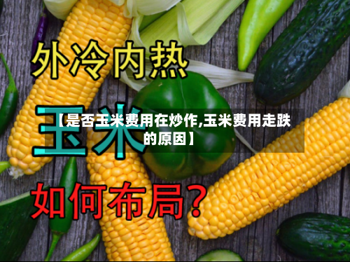 【是否玉米费用在炒作,玉米费用走跌的原因】
