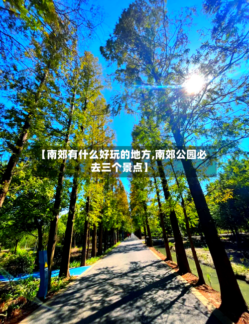 【南郊有什么好玩的地方,南郊公园必去三个景点】