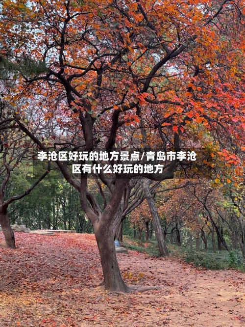 李沧区好玩的地方景点/青岛市李沧区有什么好玩的地方