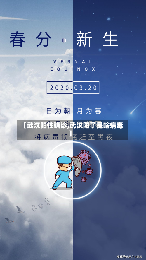 【武汉阳性确诊,武汉阳了是啥病毒】