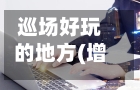 巡场好玩的地方(增值税缴纳逾期)-第3张图片