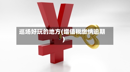 巡场好玩的地方(增值税缴纳逾期)