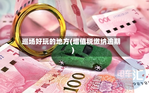 巡场好玩的地方(增值税缴纳逾期)-第2张图片