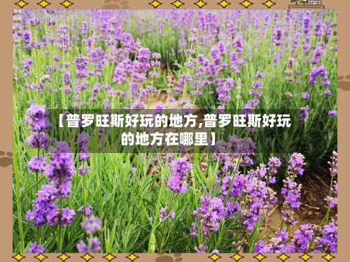 【普罗旺斯好玩的地方,普罗旺斯好玩的地方在哪里】
