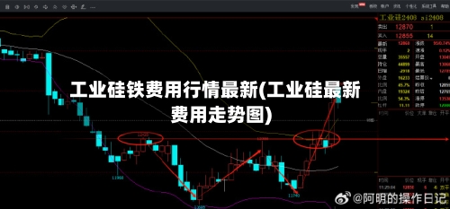 工业硅铁费用行情最新(工业硅最新费用走势图)