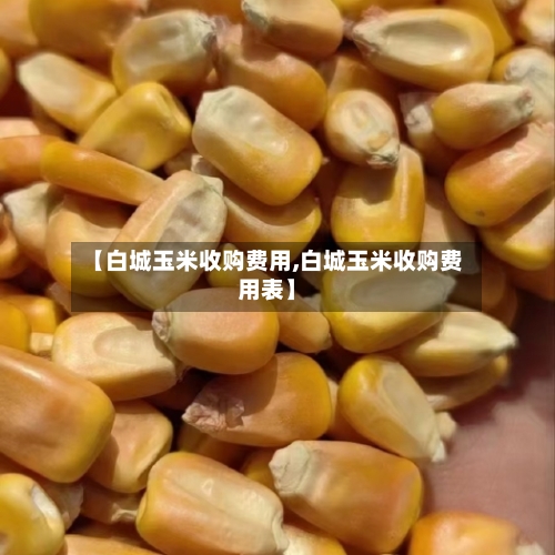 【白城玉米收购费用,白城玉米收购费用表】
