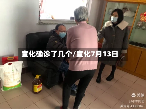 宣化确诊了几个/宣化7月13日