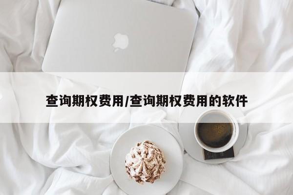 查询期权费用/查询期权费用的软件