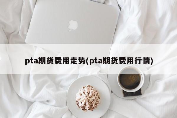 pta期货费用走势(pta期货费用行情)