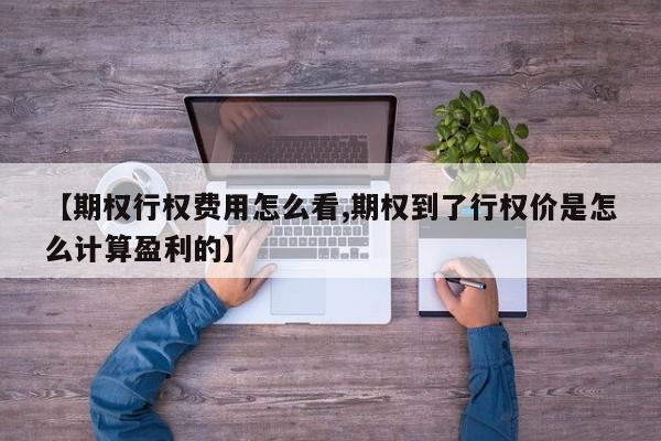 【期权行权费用怎么看,期权到了行权价是怎么计算盈利的】