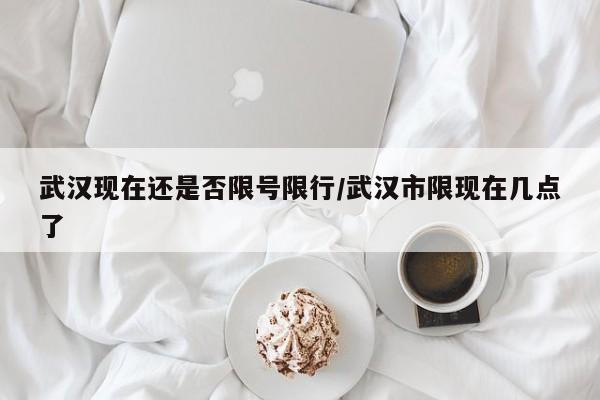 武汉现在还是否限号限行/武汉市限现在几点了