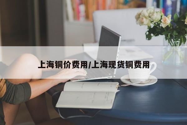 上海铜价费用/上海现货铜费用