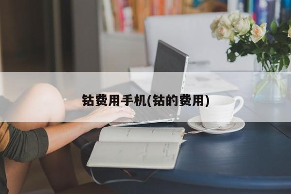 钴费用手机(钴的费用)