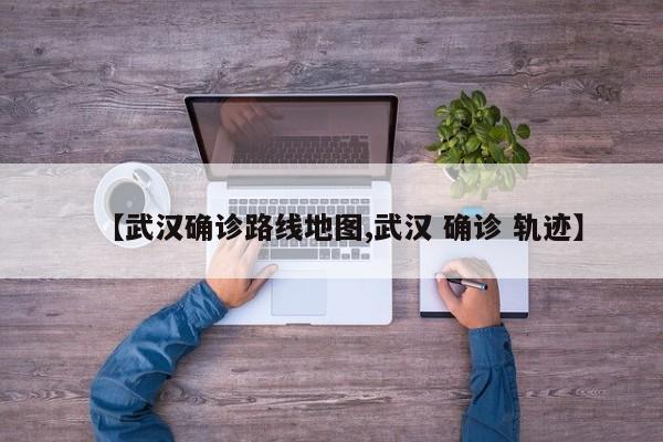 【武汉确诊路线地图,武汉 确诊 轨迹】