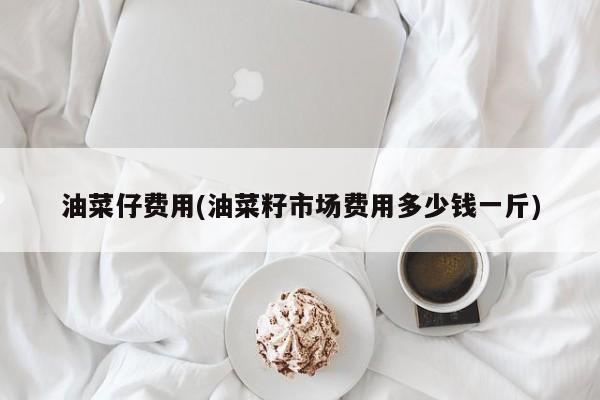 油菜仔费用(油菜籽市场费用多少钱一斤)