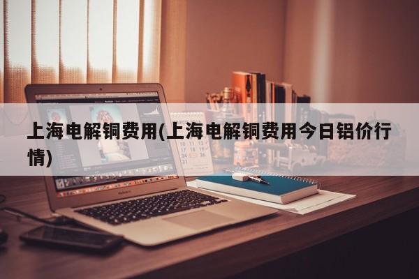 上海电解铜费用(上海电解铜费用今日铝价行情)